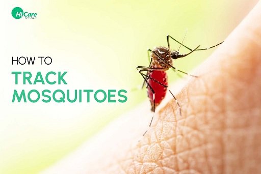 mosquito exterminator